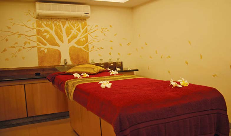 spa treatment in Devaaya Ayurveda Spa Resort